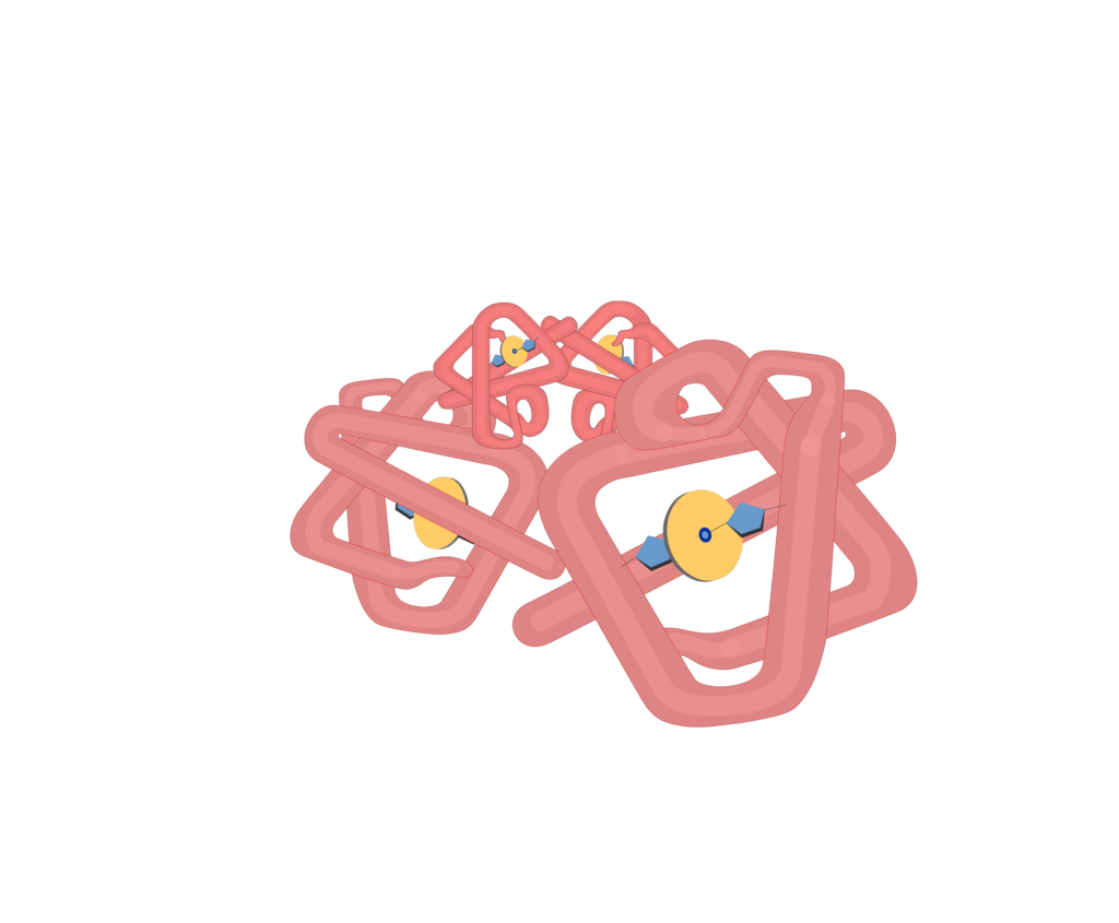 Subunits of hb molecules animation slide 5