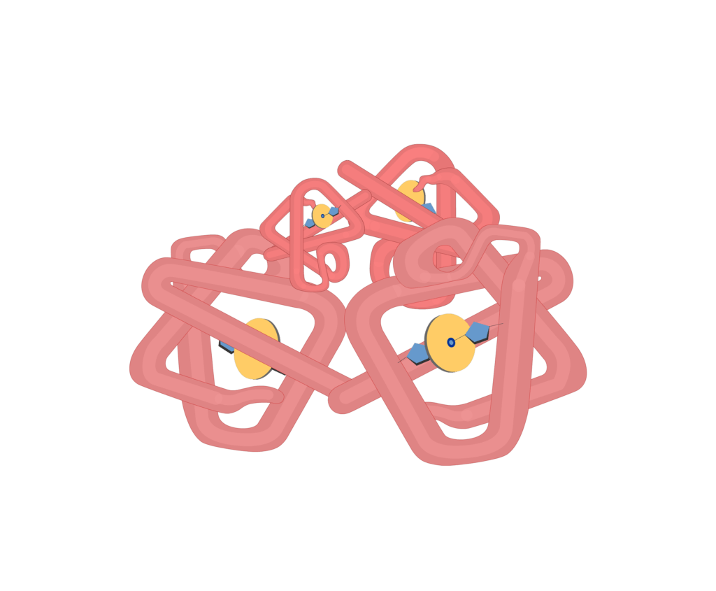 Subunits of hb molecules animation slide 7