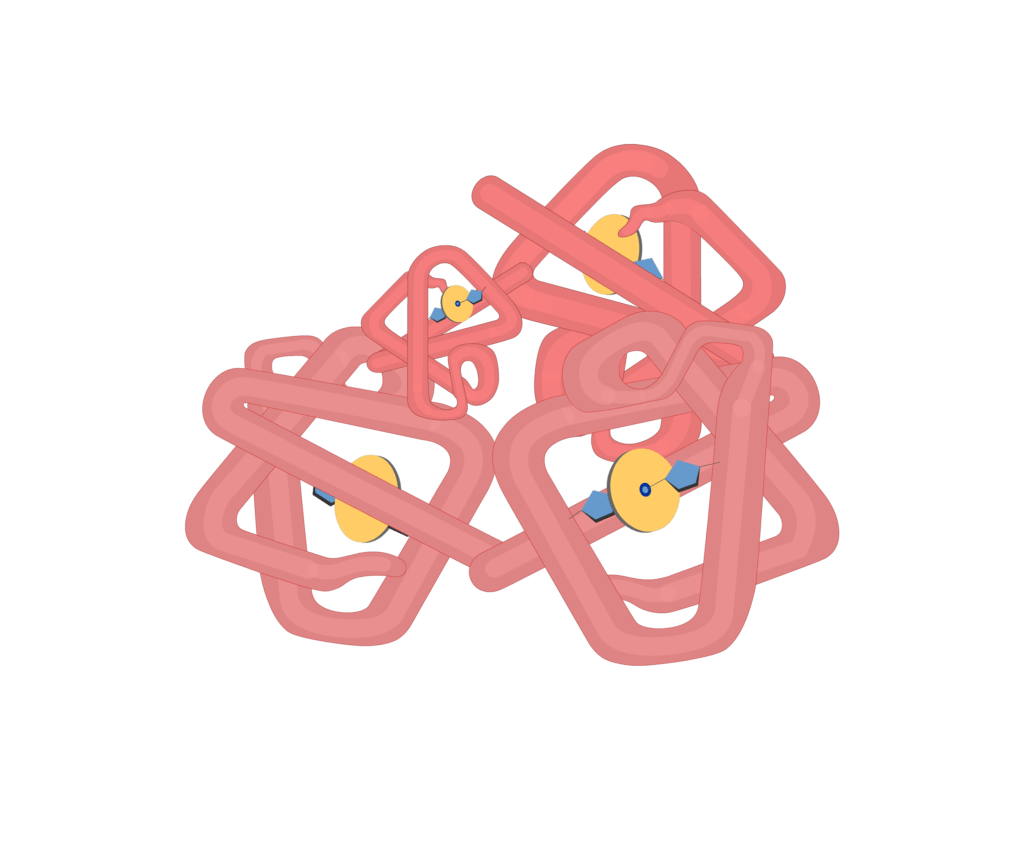 Subunits of hb molecules animation slide 8