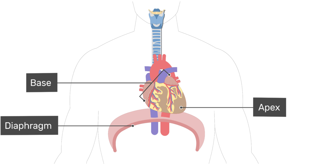 Size Chart - Original – Close to the Heart