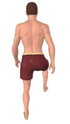 Second image in animation of abduction of the thigh.