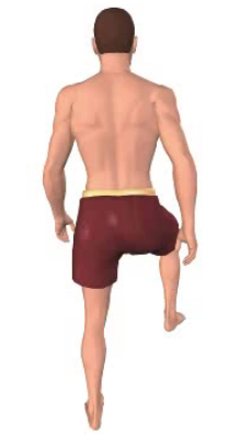 Third image in animation of abduction of the thigh.