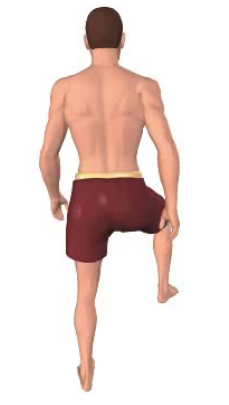 Fourth image in animation of abduction of the thigh.