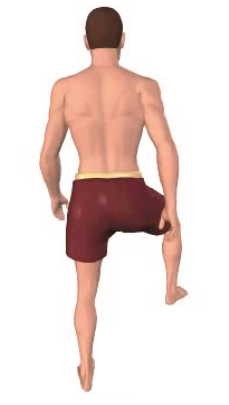 Fifth image in animation of abduction of the thigh.