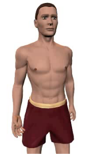 Image 1 of the animation showing flexion of the forearm.