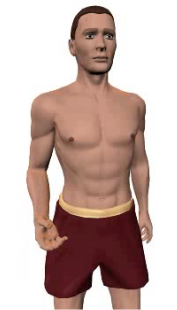 Image 4 of the animation showing flexion of the forearm.