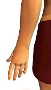Slide 1 of the animation showing ulnar deviation at the wrist.