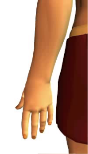 Slide 1 of the wrist abduction animation