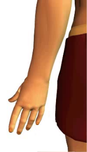 Slide 4 of the wrist abduction animation