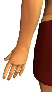 Slide 5 of the wrist abduction animation