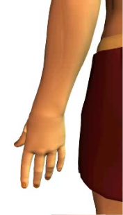 Slide 3 of the animation of wrist extension