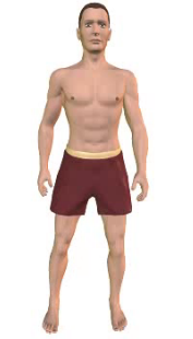 Slide 3 of the animation showing the abduction of the thigh,