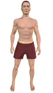 Slide 4 of the animation showing the abduction of the thigh,