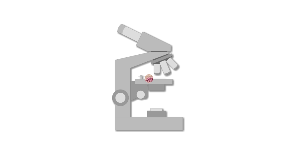 Micrograph of cardiac muscle cells animation slide 2