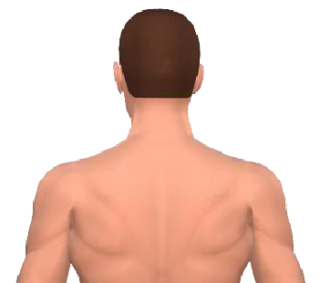 Slide 2 of the animation showing the rotation of the head.