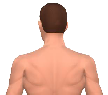 Slide 3 of the animation showing the rotation of the head.