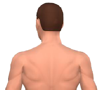 Slide 4 of the animation showing the rotation of the head.