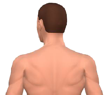Slide 5 of the animation showing the rotation of the head.