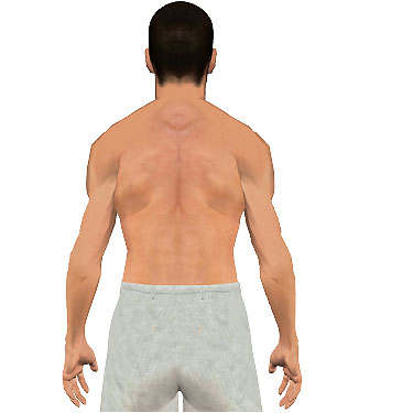 image showing posterior view of figure. Abduction of the arm 1.