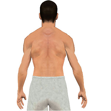 image showing posterior view of figure. Abduction of the arm 2.