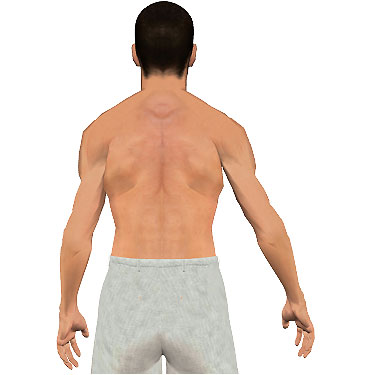 image showing posterior view of figure. Abduction of the arm 3.