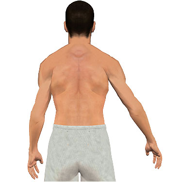 image showing posterior view of figure. Abduction of the arm 4