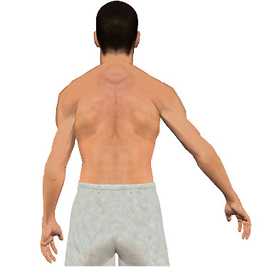 image showing posterior view of figure. Abduction of the arm 5.
