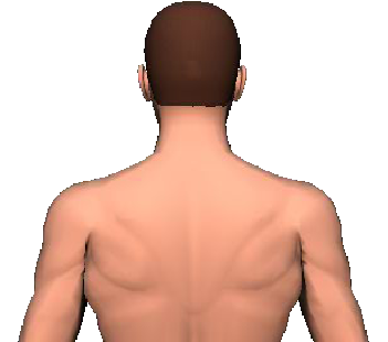 Slide 5 of the animation showing the extension of head and neck.