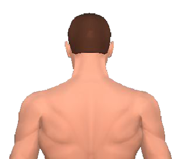 Slide 2 of the animation showing the extension of the head.