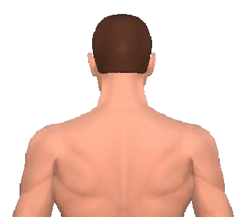 Slide 3 of the animation showing the extension of the head.