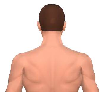 Slide 4 of the animation showing the extension of the head.