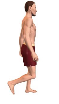 Leg extension