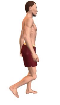 Leg extension