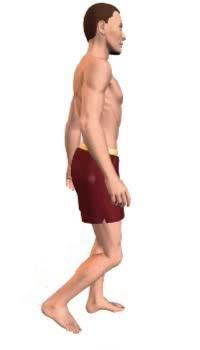 Leg extension