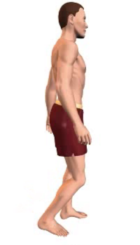 Leg extension
