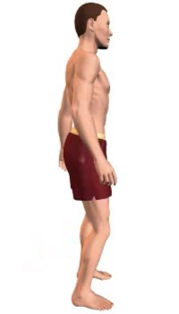 Leg extension