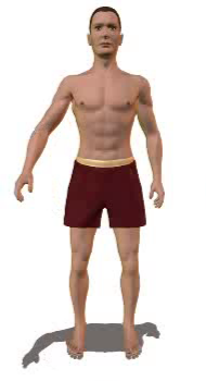 Arm abduction at shoulder joint