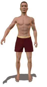 Arm abduction at shoulder joint