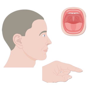 Sensory organs (skins, tongue and eye)