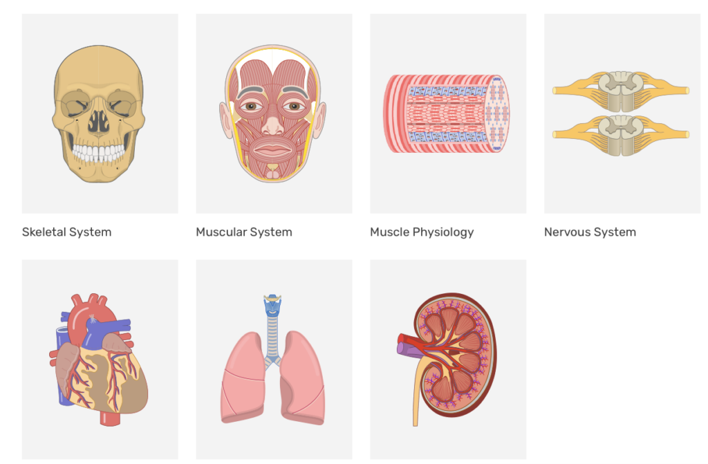GBS anatomy app