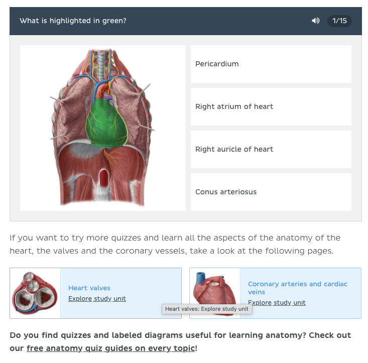 Kenhub interactive quizzes